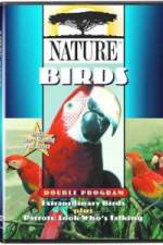 Watch PBS Nature - Extraordinary Birds Megavideo