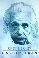 Watch Secrets of Einstein\'s Brain Megavideo