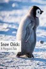 Watch Snow Chick: A Penguin's Tale Megavideo