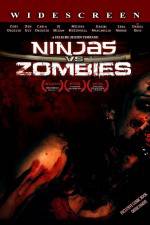 Watch Ninjas vs Zombies Megavideo