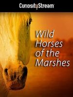 Watch Wild Horses of the Marshes Megavideo