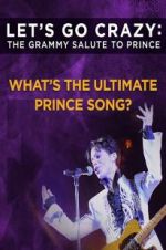 Watch Let\'s Go Crazy: The Grammy Salute to Prince Megavideo