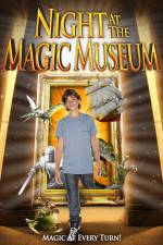 Watch Night At The Magic Museum Megavideo