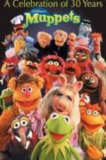 Watch The Muppets - A celebration of 30 Years Megavideo