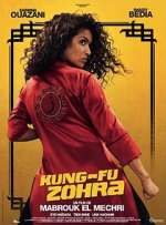 Watch Kung Fu Zohra Megavideo