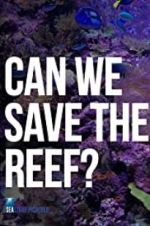 Watch Can We Save the Reef? Megavideo