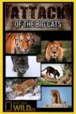 Watch National Geographic Attack Of The Big Cats Megavideo