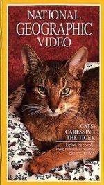 Watch Cats: Caressing the Tiger Megavideo