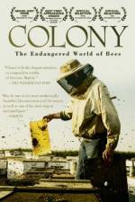 Watch Colony Megavideo