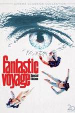 Watch Fantastic Voyage Megavideo