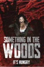 Watch Something in the Woods Megavideo