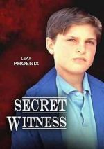 Watch Secret Witness Megavideo