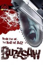 Watch Buzz Saw Megavideo