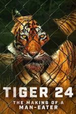 Watch Tiger 24 Megavideo