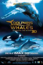 Watch Dolphins and Whales 3D Tribes of the Ocean Megavideo