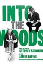 Watch Into the Woods Megavideo