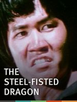 Watch Steel-Fisted Dragon Megavideo