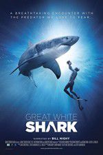 Watch Great White Shark Megavideo