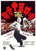 Watch The 36th Chamber of Shaolin Megavideo