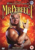 Watch The Life and Times of Mr. Perfect Megavideo