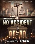 Watch No Accident Megavideo