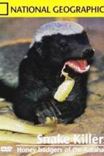 Watch National Geographic: Snake Killers Honey Badgers Of The Kalahari Megavideo