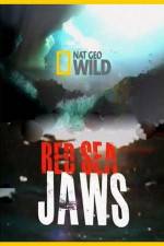 Watch National Geographic Red Sea Jaws Megavideo