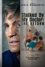 Watch Stalked by My Doctor: The Return Megavideo