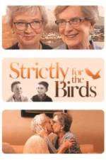 Watch Strictly for the Birds Megavideo