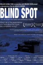 Watch Blind Spot Megavideo