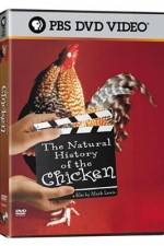 Watch The Natural History of the Chicken Megavideo