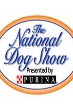 Watch National Dog Show Megavideo