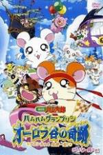 Watch Hamtaro Movie 3: Ham Ham Grand Prix Megavideo