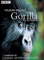Watch Gorilla Revisited with David Attenborough Megavideo