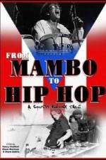 Watch From Mambo to Hip Hop A South Bronx Tale Megavideo
