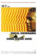 Watch Cool Hand Luke Megavideo