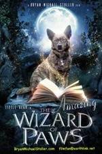 Watch The Amazing Wizard of Paws Megavideo