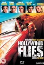 Watch Hollywood Flies Megavideo