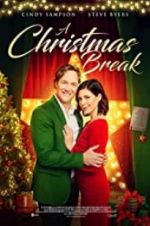 Watch A Christmas Break Megavideo