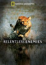 Watch Relentless Enemies Megavideo