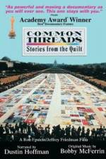 Watch Common Threads: Stories from the Quilt Megavideo