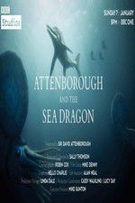Watch Attenborough and the Sea Dragon Megavideo