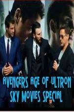 Watch Avengers Age of Ultron Sky Movies Special Megavideo