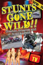 Watch Stunts Gone Wild: Crashes, Smashes & Road Rashes! Megavideo