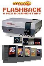 Watch Flashback NES Documentary Megavideo
