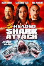 Watch 3 Headed Shark Attack Megavideo