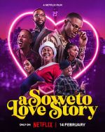 Watch A Soweto Love Story Megavideo