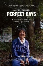 Watch Perfect Days Megavideo