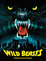Watch The Wild Beasts Megavideo