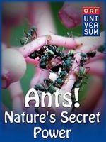 Watch Ants: Nature\'s Secret Power Megavideo